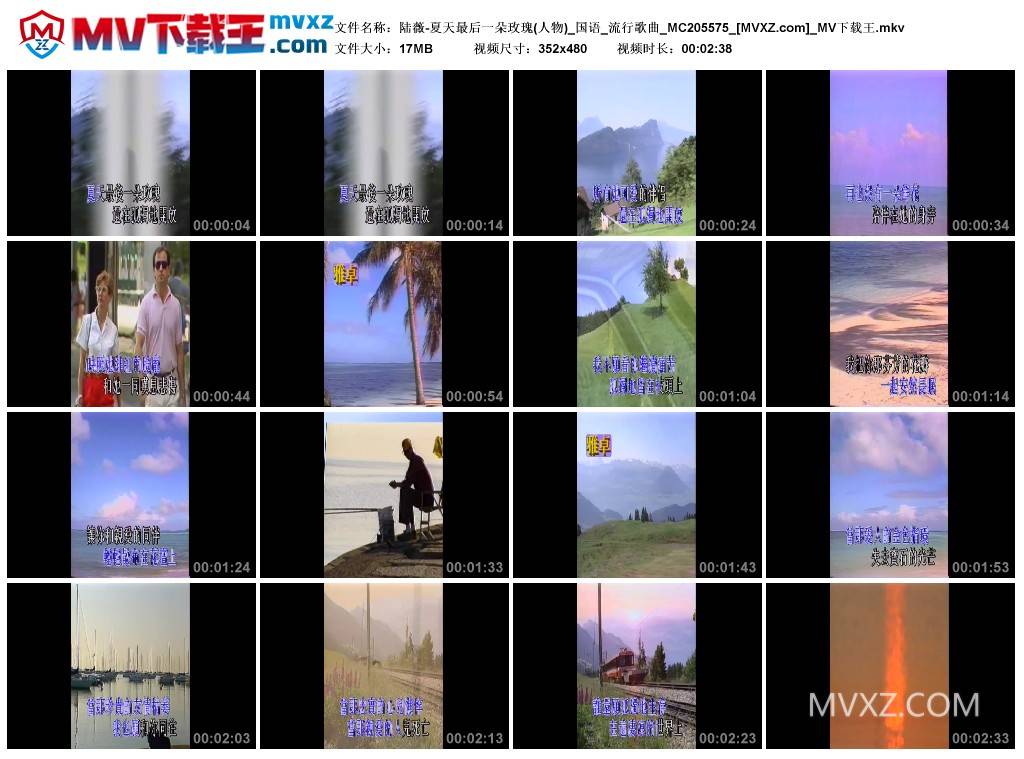 陆薇-夏天最后一朵玫瑰(人物)_国语_流行歌曲_MC205575